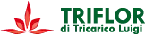 TRIFLOR di Tricarico Luigi