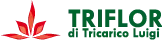 TRIFLOR di Tricarico Luigi