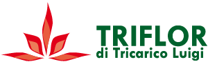 TRIFLOR di Tricarico Luigi