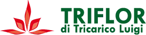 TRIFLOR di Tricarico Luigi